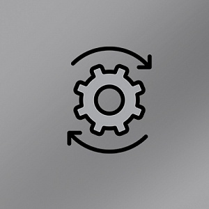 ������ ���������